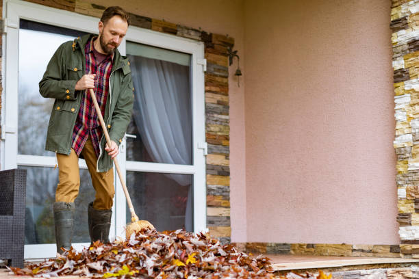 Yard Cleanup Services in St Pauls, NC